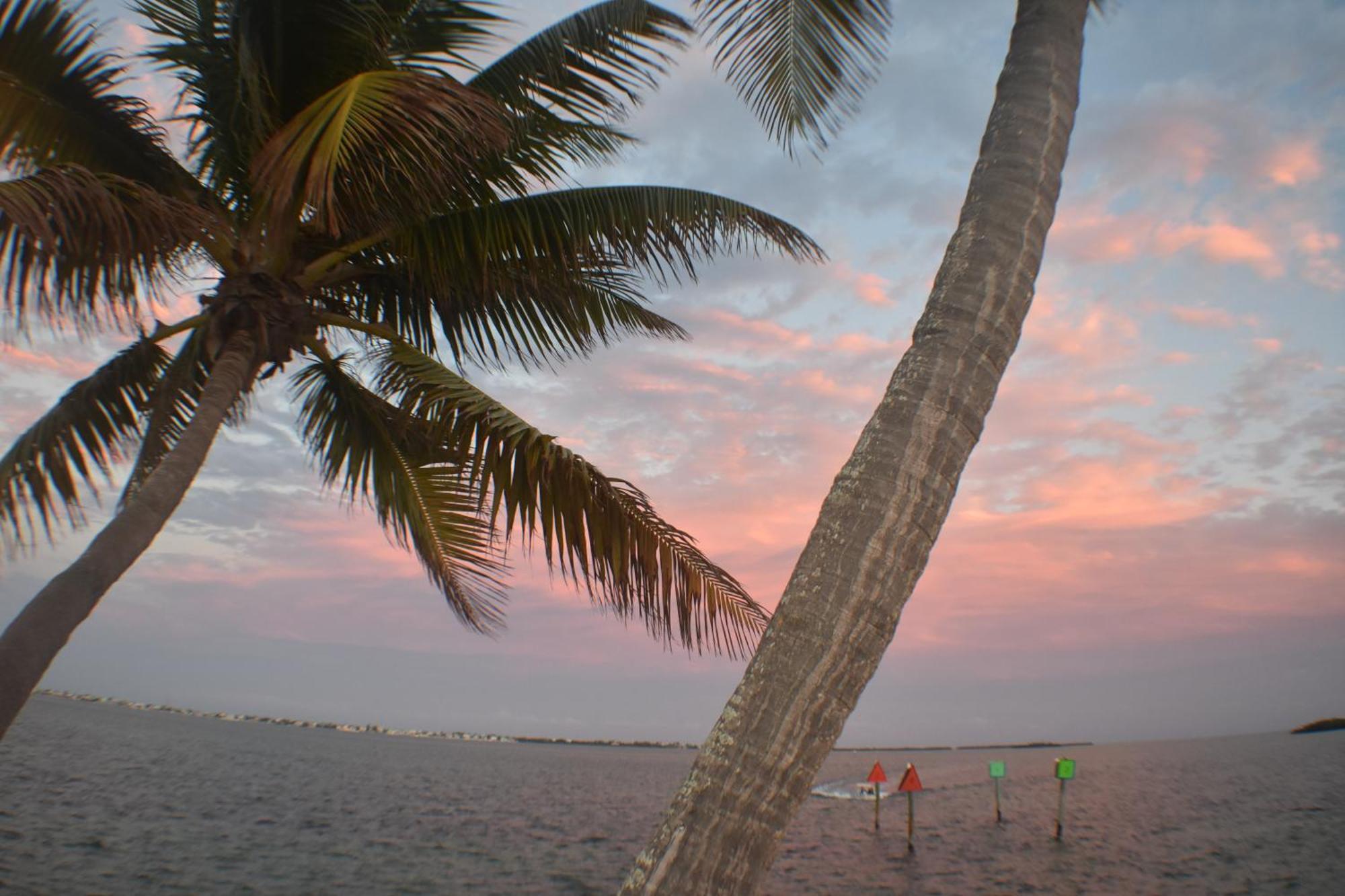 Pelican'S Roost, Waterfront Comfort At Venture Out Cudjoe Key 외부 사진